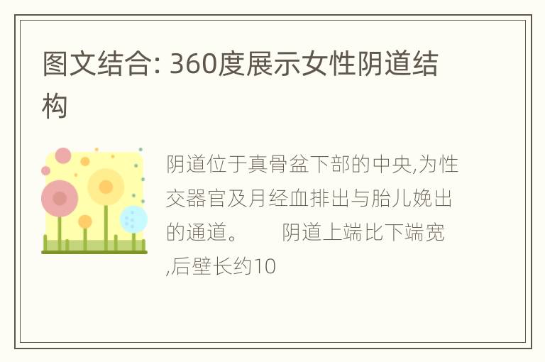 图文结合：360度展示女性阴道结构