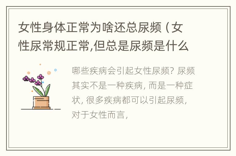 女性身体正常为啥还总尿频（女性尿常规正常,但总是尿频是什么原因?）