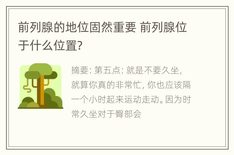 前列腺的地位固然重要 前列腺位于什么位置?