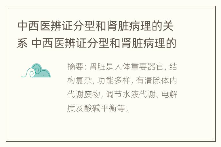 中西医辨证分型和肾脏病理的关系 中西医辨证分型和肾脏病理的关系是什么