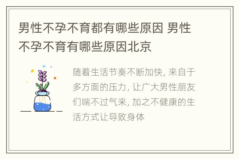 男性不孕不育都有哪些原因 男性不孕不育有哪些原因北京