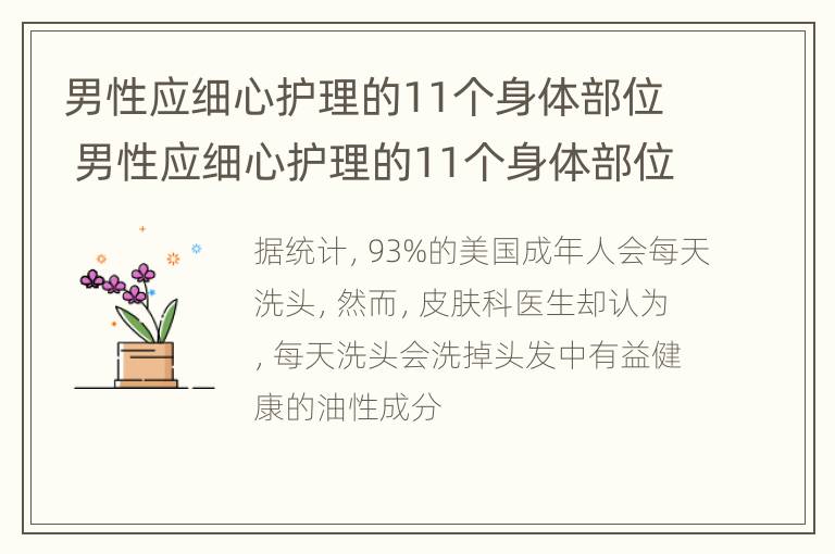 男性应细心护理的11个身体部位 男性应细心护理的11个身体部位是