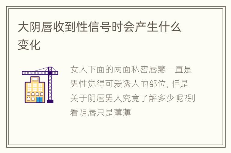 大阴唇收到性信号时会产生什么变化