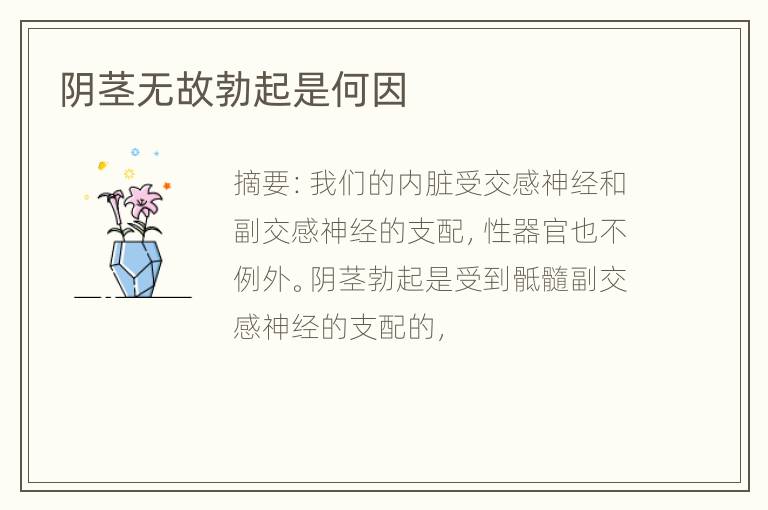 阴茎无故勃起是何因