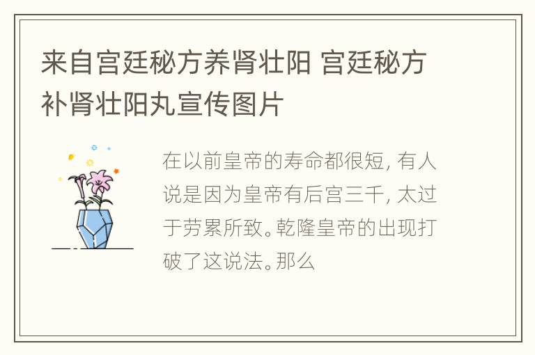 来自宫廷秘方养肾壮阳 宫廷秘方补肾壮阳丸宣传图片