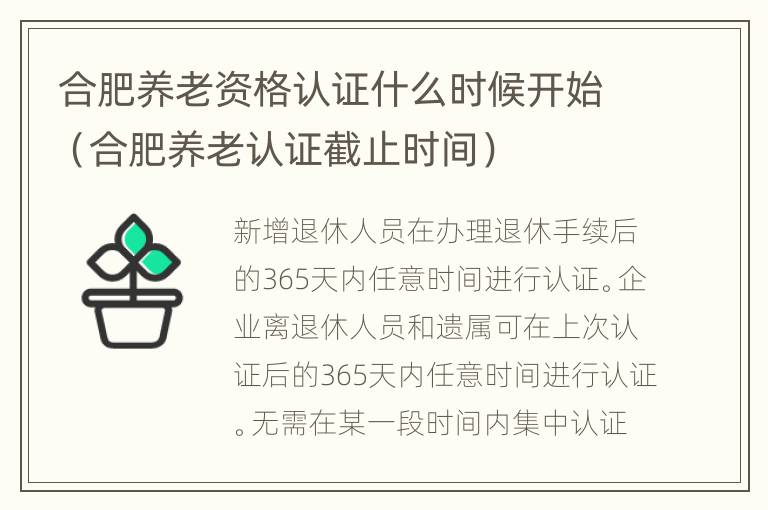 合肥养老资格认证什么时候开始（合肥养老认证截止时间）