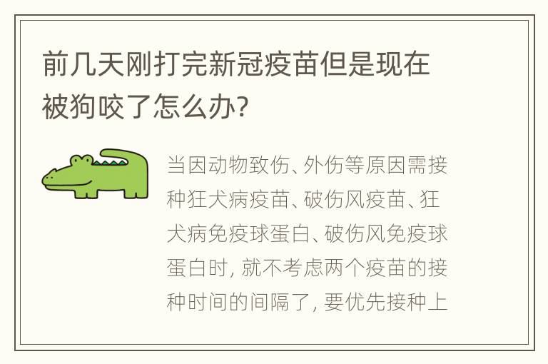 前几天刚打完新冠疫苗但是现在被狗咬了怎么办?