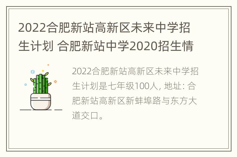 2022合肥新站高新区未来中学招生计划 合肥新站中学2020招生情况