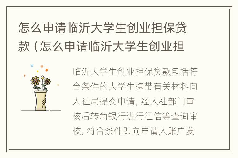 怎么申请临沂大学生创业担保贷款（怎么申请临沂大学生创业担保贷款呢）