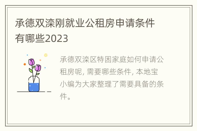 承德双滦刚就业公租房申请条件有哪些2023