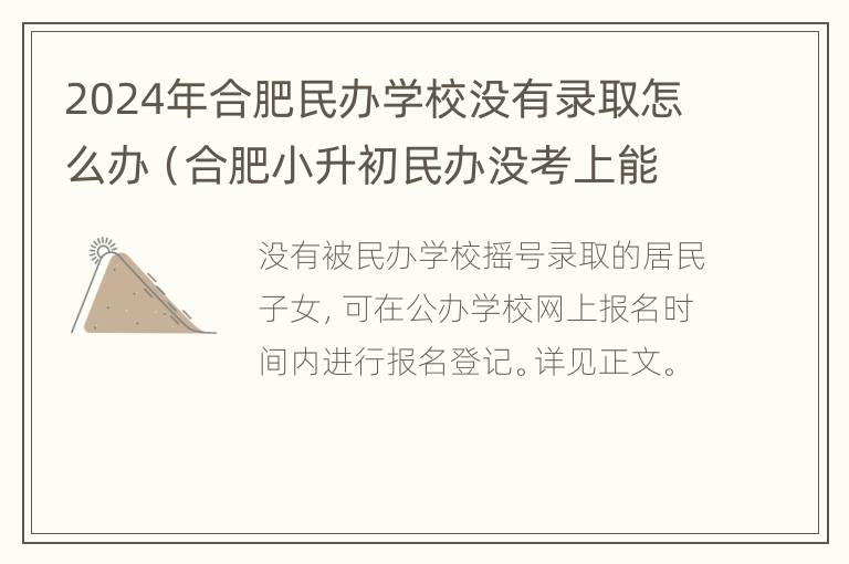 2024年合肥民办学校没有录取怎么办（合肥小升初民办没考上能上公办吗）