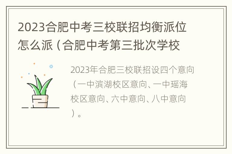 2023合肥中考三校联招均衡派位怎么派（合肥中考第三批次学校排名）