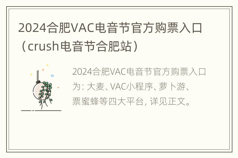 2024合肥VAC电音节官方购票入口（crush电音节合肥站）