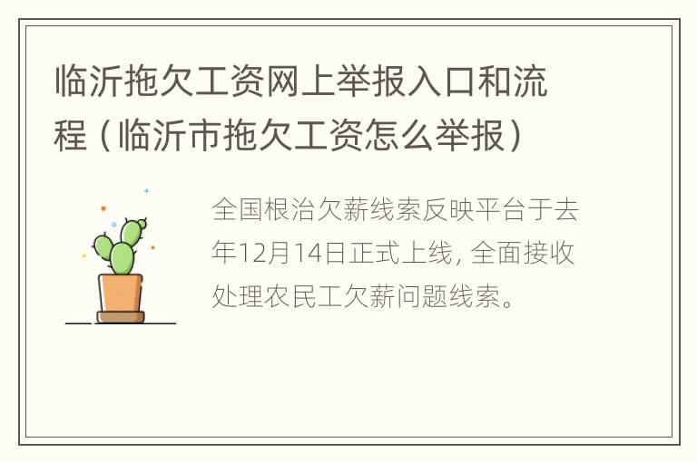 临沂拖欠工资网上举报入口和流程（临沂市拖欠工资怎么举报）