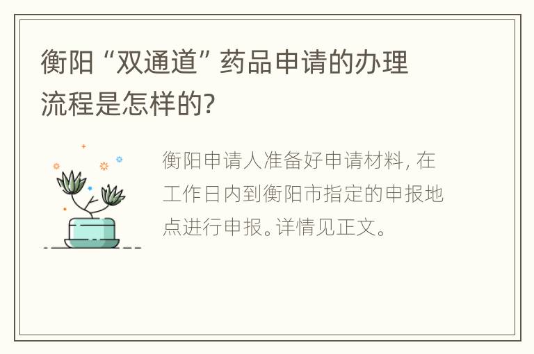 衡阳“双通道”药品申请的办理流程是怎样的?