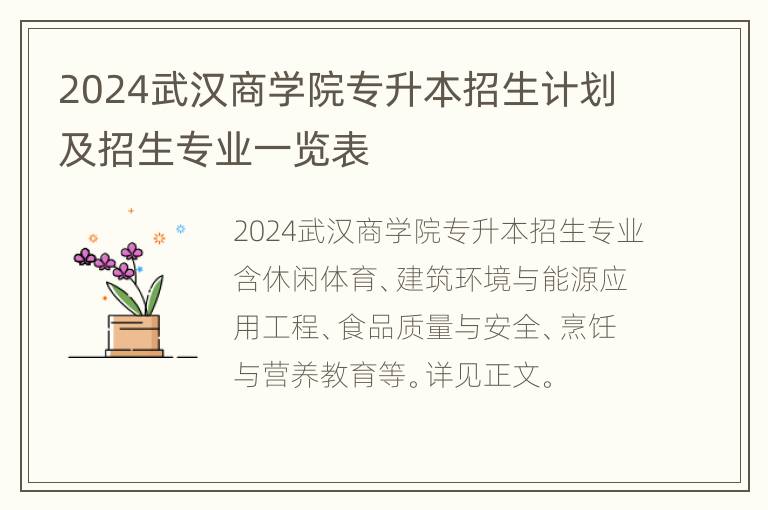 2024武汉商学院专升本招生计划及招生专业一览表