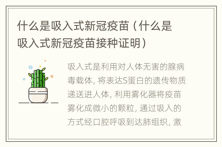 什么是吸入式新冠疫苗（什么是吸入式新冠疫苗接种证明）