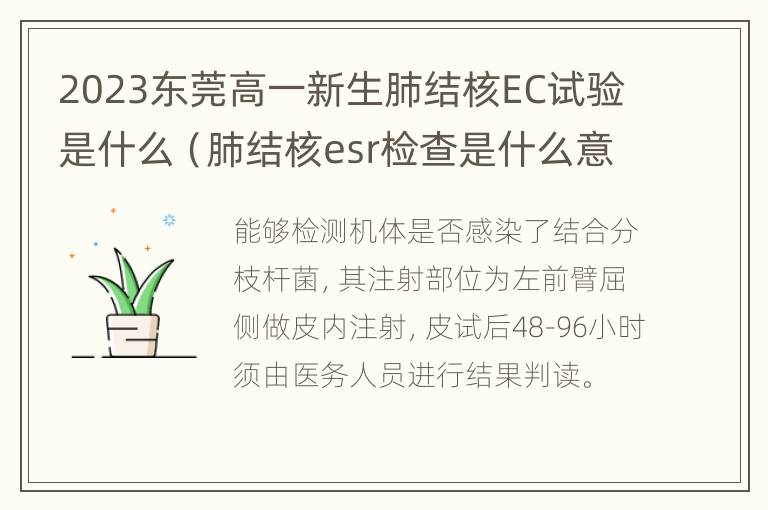 2023东莞高一新生肺结核EC试验是什么（肺结核esr检查是什么意思）