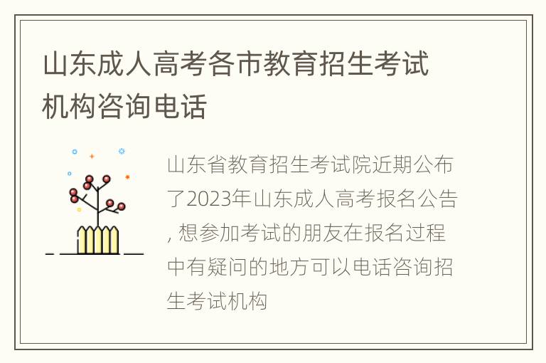 山东成人高考各市教育招生考试机构咨询电话