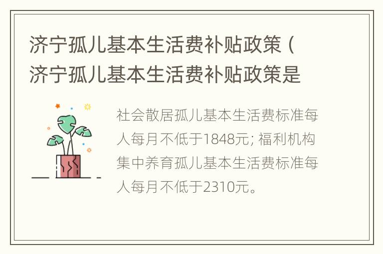 济宁孤儿基本生活费补贴政策（济宁孤儿基本生活费补贴政策是什么）