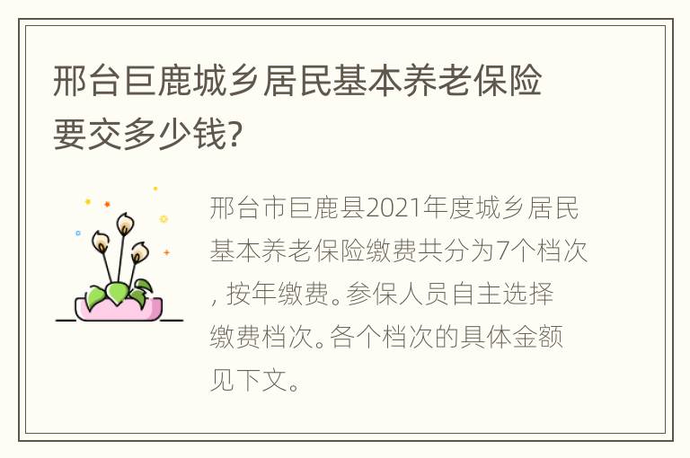 邢台巨鹿城乡居民基本养老保险要交多少钱？