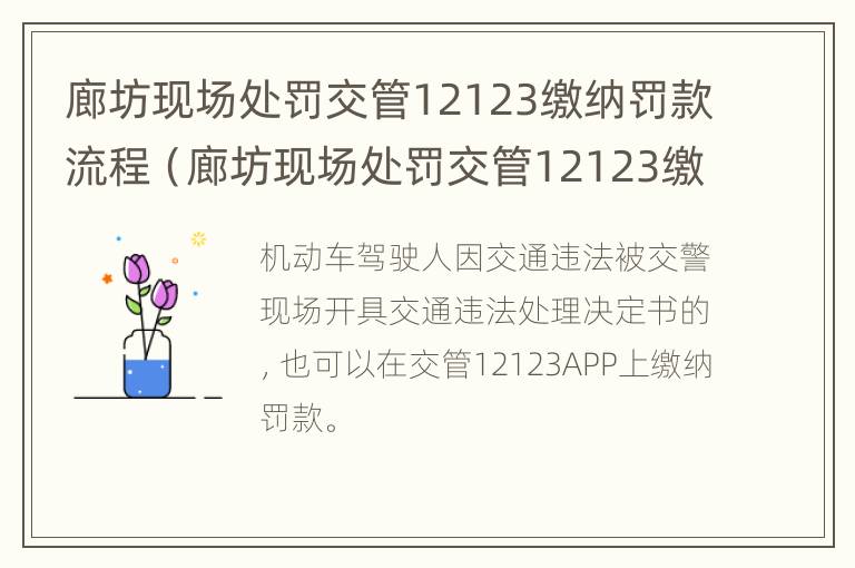 廊坊现场处罚交管12123缴纳罚款流程（廊坊现场处罚交管12123缴纳罚款流程是什么）