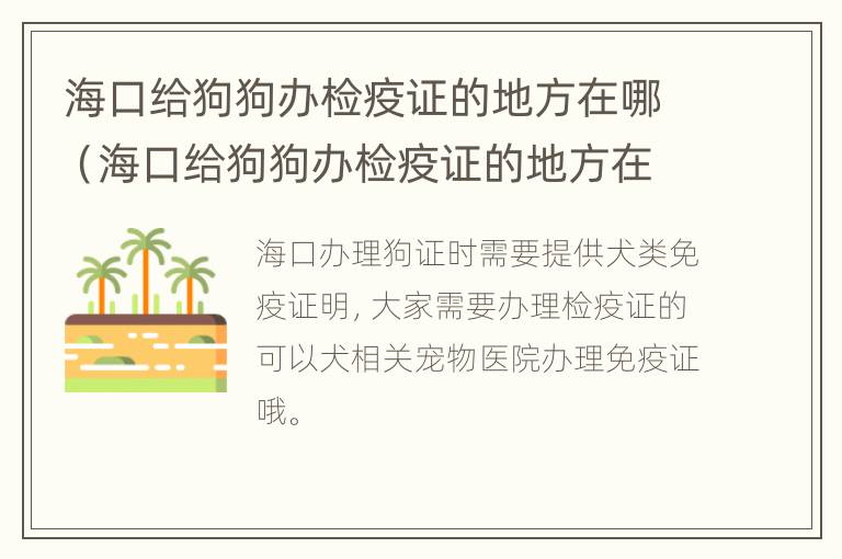 海口给狗狗办检疫证的地方在哪（海口给狗狗办检疫证的地方在哪里）