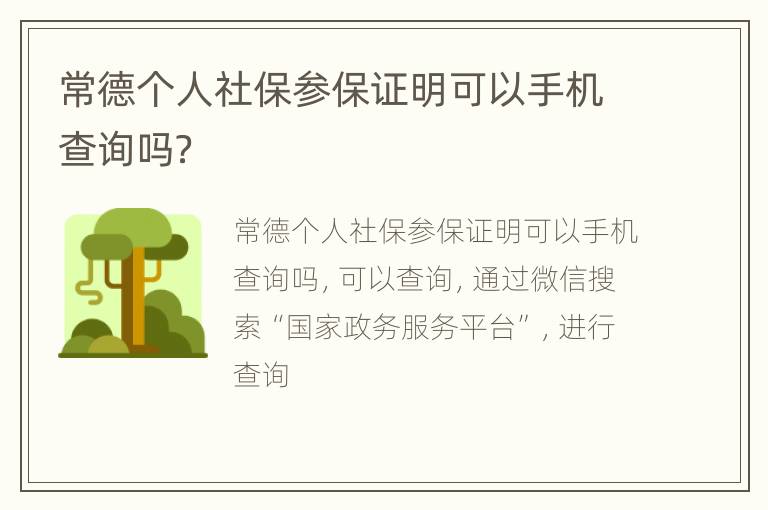 常德个人社保参保证明可以手机查询吗？