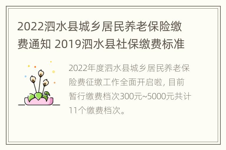 2022泗水县城乡居民养老保险缴费通知 2019泗水县社保缴费标准