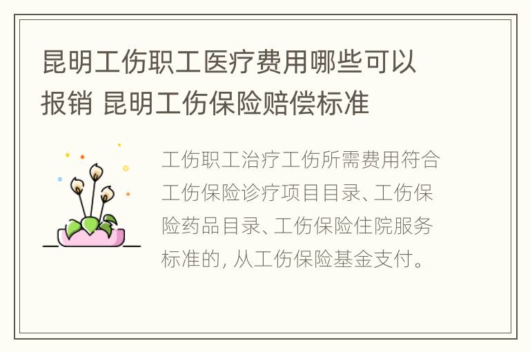 昆明工伤职工医疗费用哪些可以报销 昆明工伤保险赔偿标准