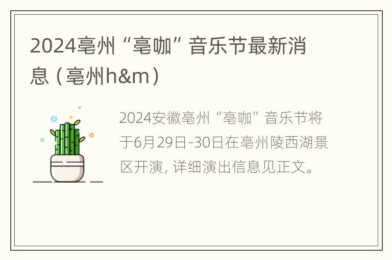 2024亳州“亳咖”音乐节最新消息（亳州h&m）