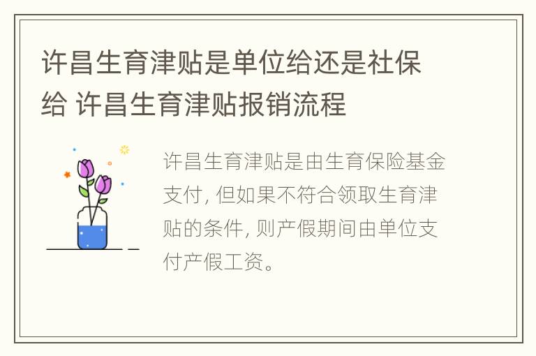 许昌生育津贴是单位给还是社保给 许昌生育津贴报销流程