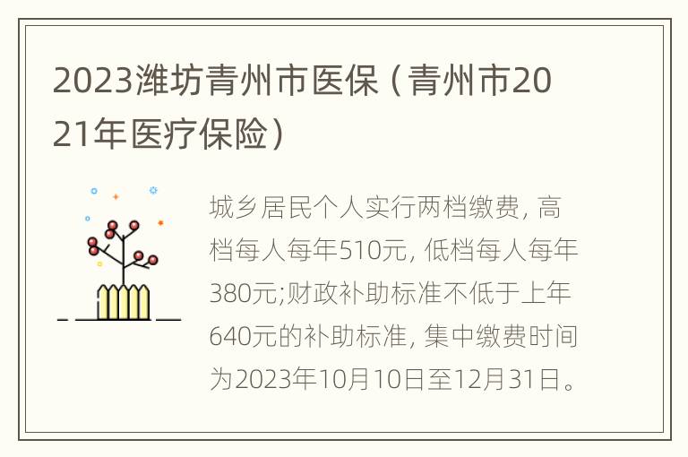 2023潍坊青州市医保（青州市2021年医疗保险）