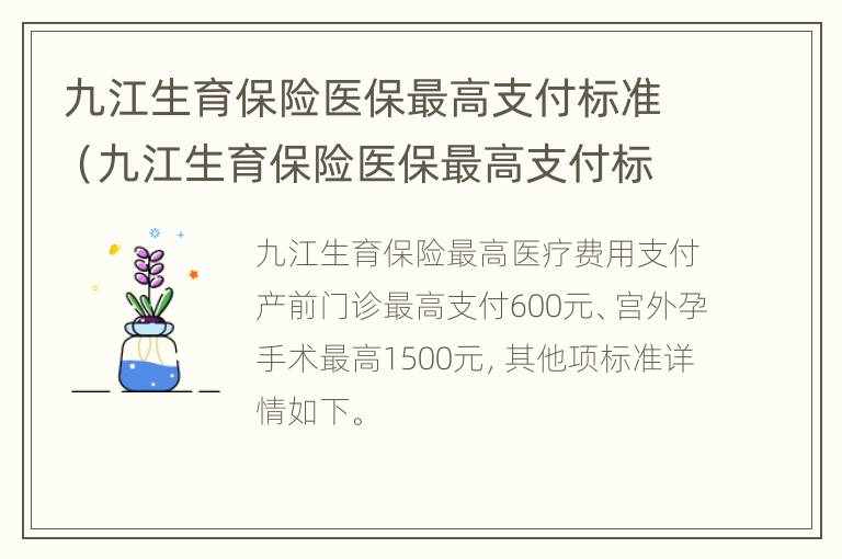 九江生育保险医保最高支付标准（九江生育保险医保最高支付标准是多少）