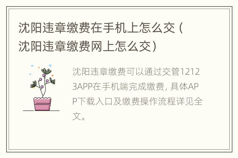 沈阳违章缴费在手机上怎么交（沈阳违章缴费网上怎么交）