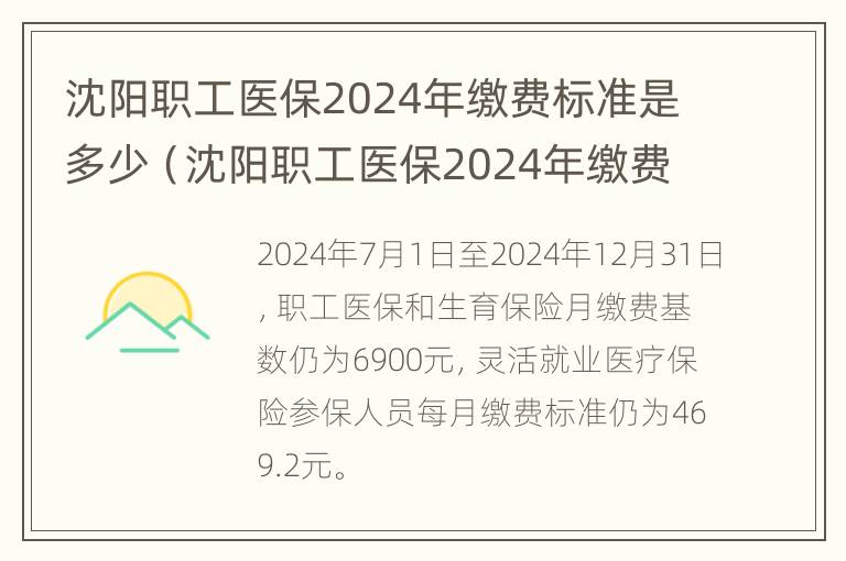 沈阳职工医保2024年缴费标准是多少（沈阳职工医保2024年缴费标准是多少钱）