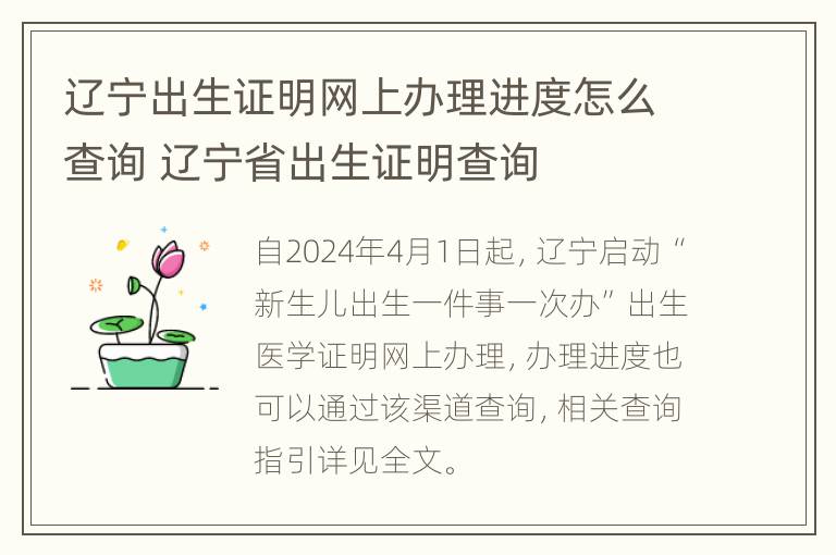 辽宁出生证明网上办理进度怎么查询 辽宁省出生证明查询