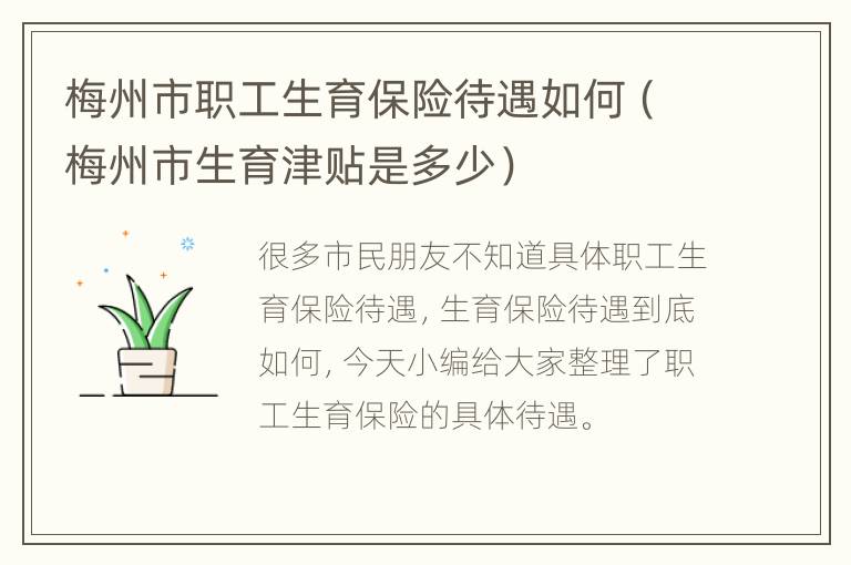 梅州市职工生育保险待遇如何（梅州市生育津贴是多少）