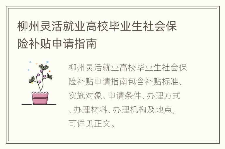 柳州灵活就业高校毕业生社会保险补贴申请指南