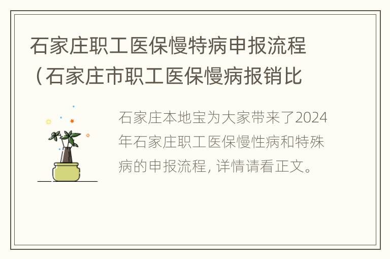 石家庄职工医保慢特病申报流程（石家庄市职工医保慢病报销比例是多少）