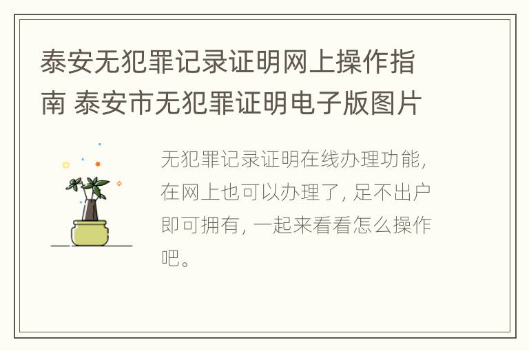 泰安无犯罪记录证明网上操作指南 泰安市无犯罪证明电子版图片