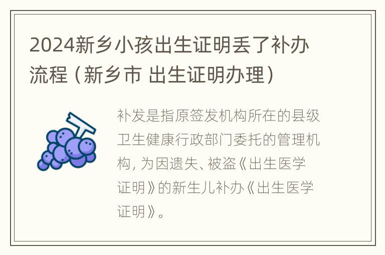 2024新乡小孩出生证明丢了补办流程（新乡市 出生证明办理）