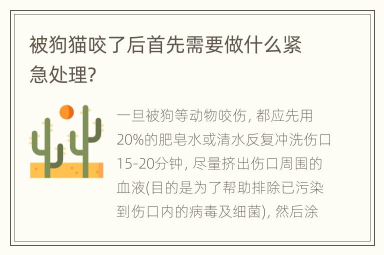 被狗猫咬了后首先需要做什么紧急处理?