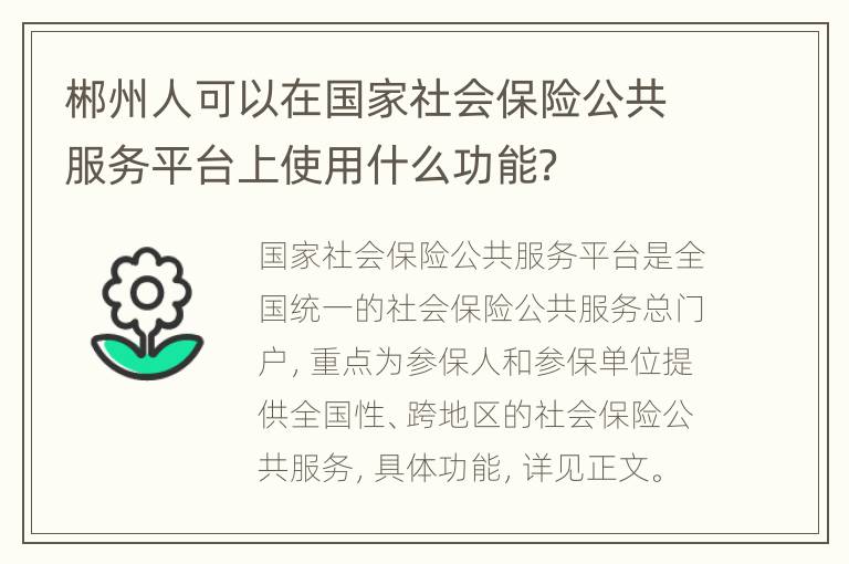 郴州人可以在国家社会保险公共服务平台上使用什么功能？