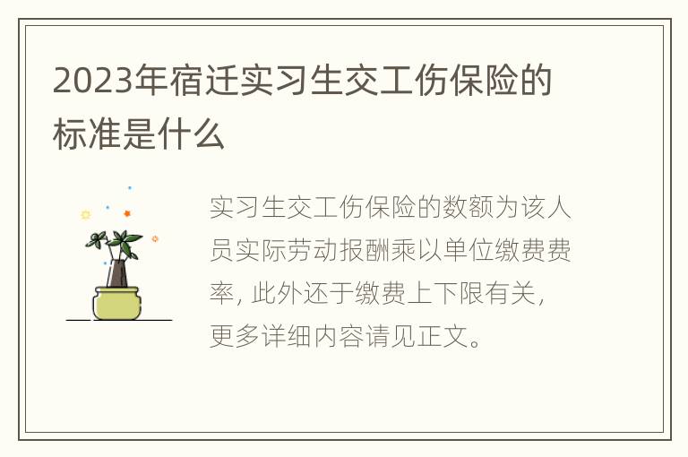 2023年宿迁实习生交工伤保险的标准是什么