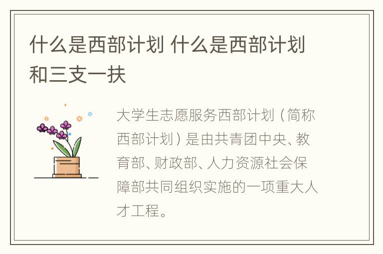 什么是西部计划 什么是西部计划和三支一扶