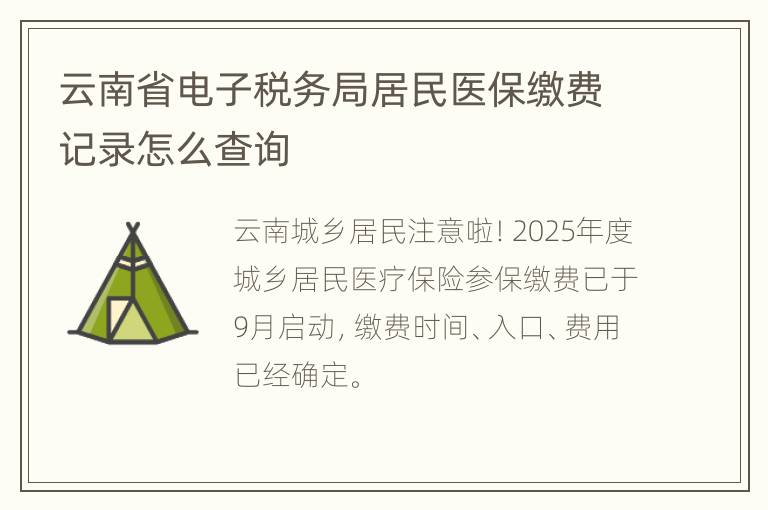 云南省电子税务局居民医保缴费记录怎么查询