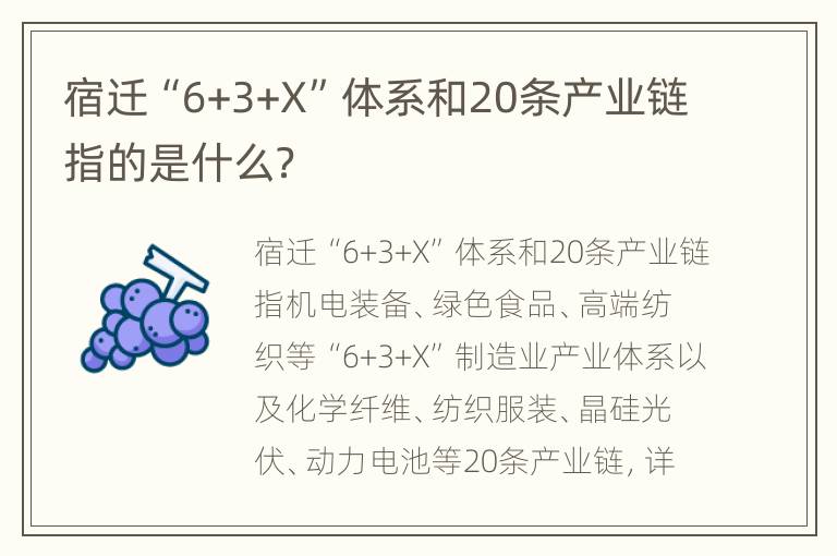 宿迁“6+3+X”体系和20条产业链指的是什么？