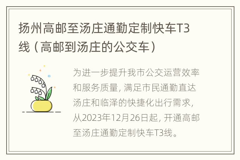 扬州高邮至汤庄通勤定制快车T3线（高邮到汤庄的公交车）