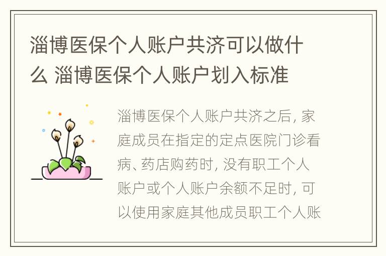 淄博医保个人账户共济可以做什么 淄博医保个人账户划入标准